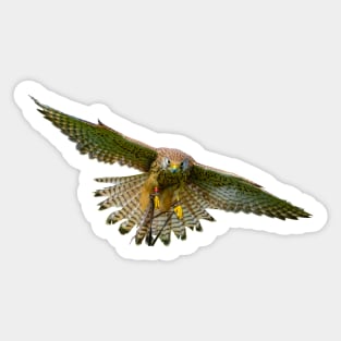 Incoming Kstrel Sticker